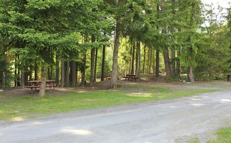 Coachman Campground - Shaded Sites0-3eee77c15056a36.png