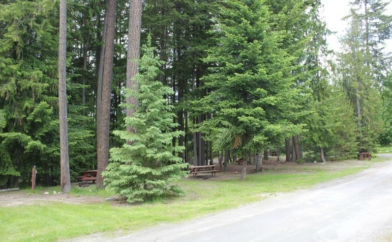 Coachman Campground - Campsites 0-3efc79ea5056a36.png